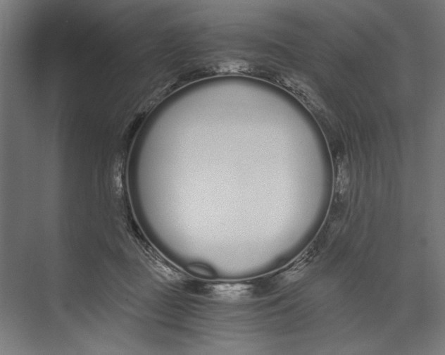 X0000073490363200608281621