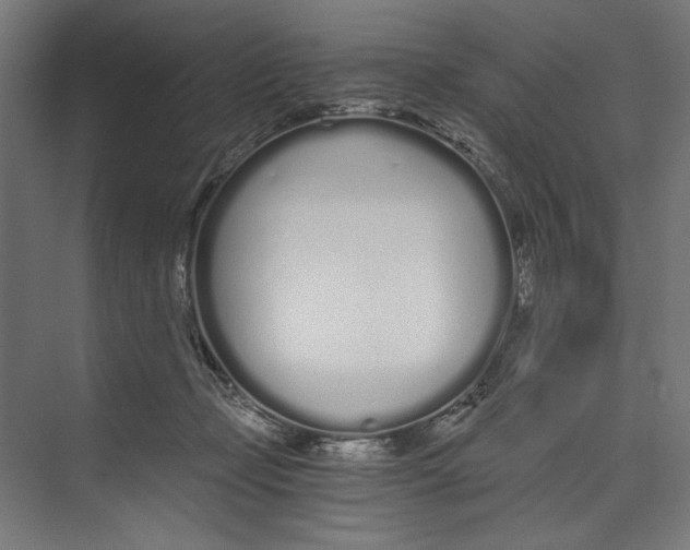 X0000073490365200608281621