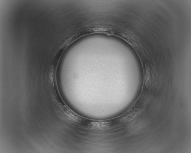 X0000073490367200608281621