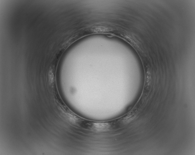 X0000073490371200608281621