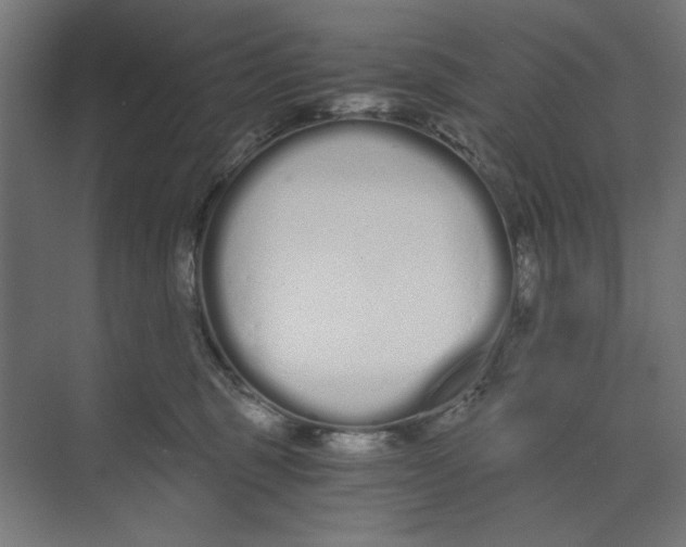 X0000073490375200608281622