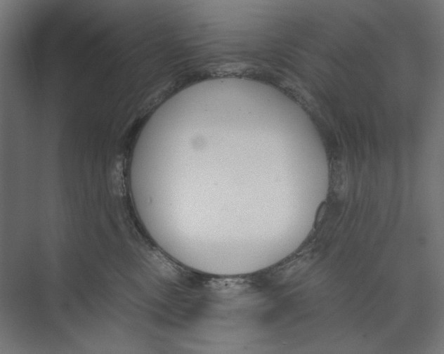 X0000073490378200608281622