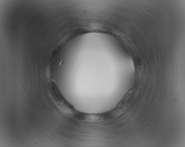 X0000073490380200608281622