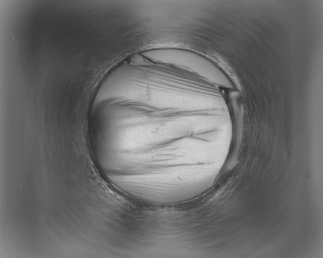 X0000073490385200608281621