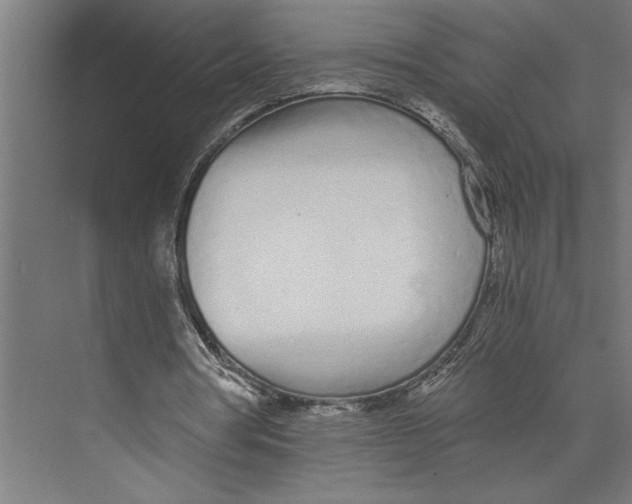 X0000073490386200608281621