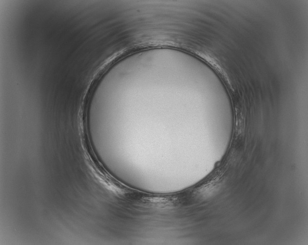 X0000073490390200608281621