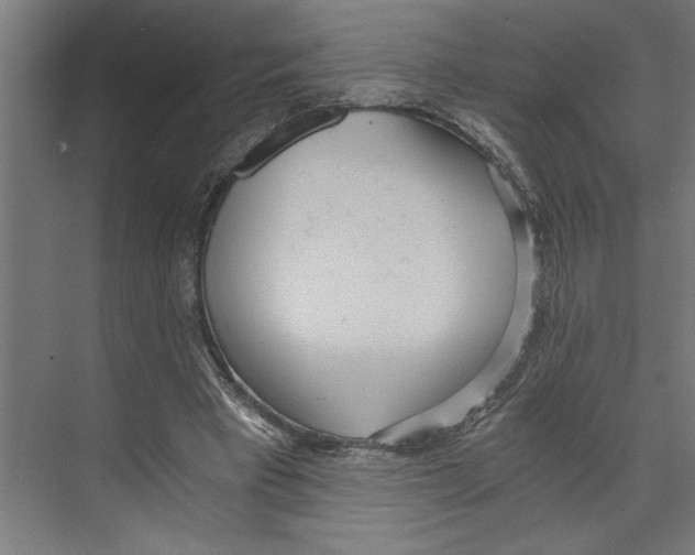 X0000073490393200608281621