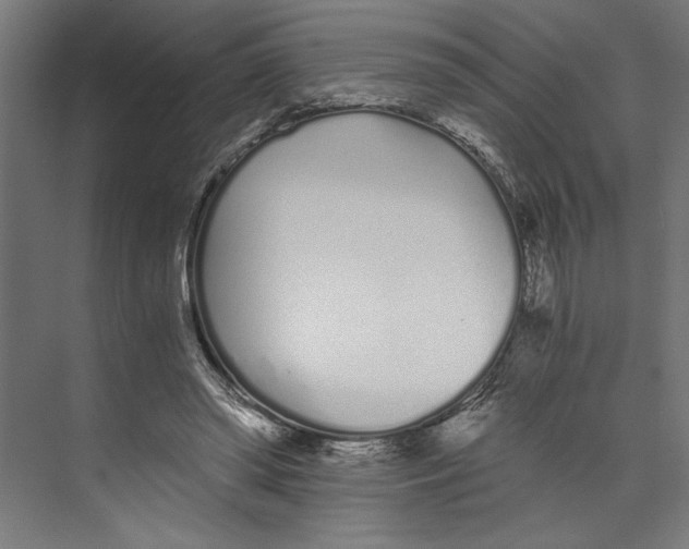 X0000073490398200608281621