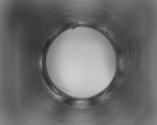 X0000073490406200608281621