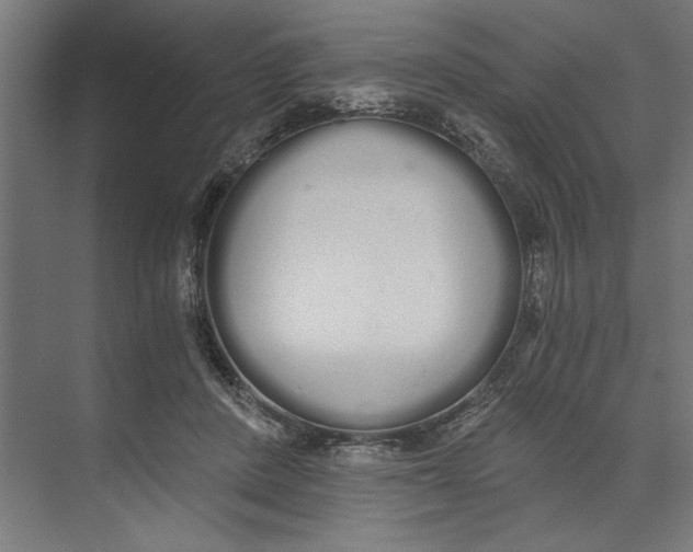 X0000073490408200608281621