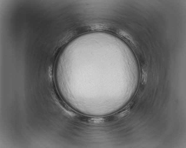 X0000073490410200608281620