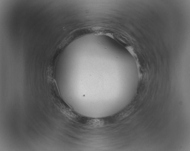 X0000073490421200608281620