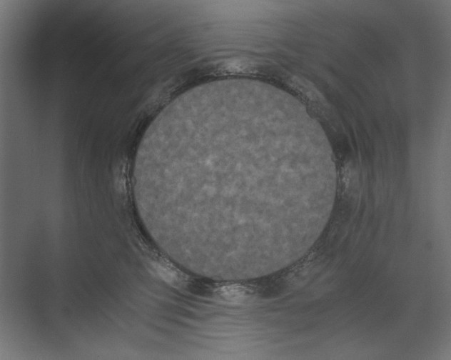 X0000073490423200608281620
