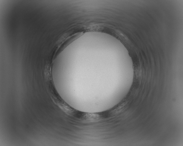 X0000073490429200608281620
