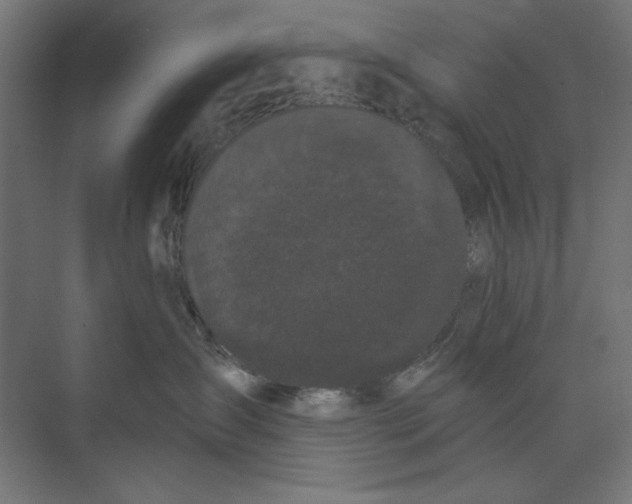 X0000073490431200608281620