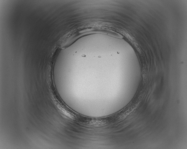 X0000073490445200608281619
