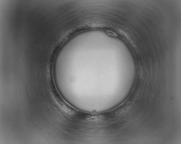 X0000073490447200608281620