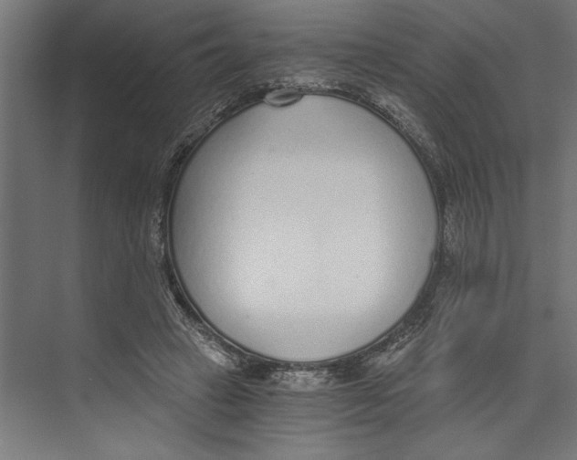 X0000073490449200608281620