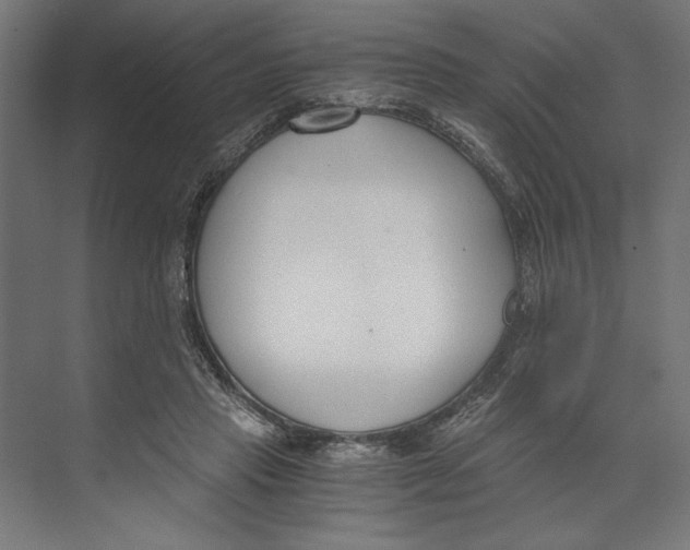X0000073490453200608281620