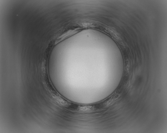 X0000073490461200608281620