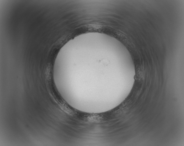 X0000073490468200608281620