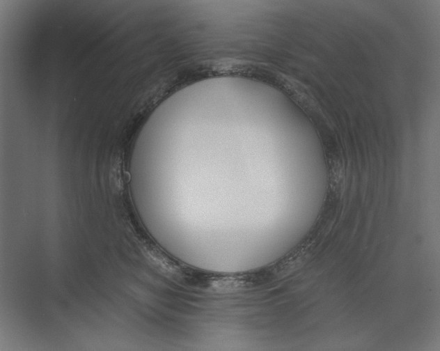 X0000073490470200608281620