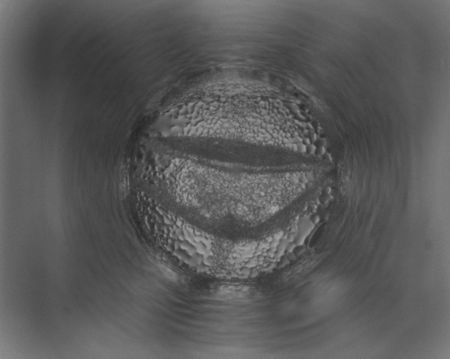 X0000073490471200608281620