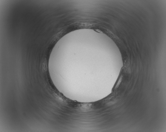 X0000073490474200608281620
