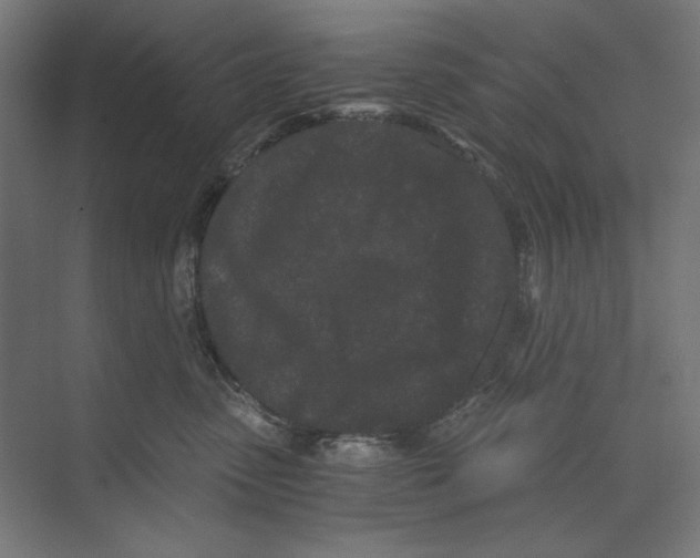 X0000073490475200608281620