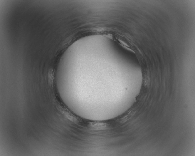 X0000073490476200608281620