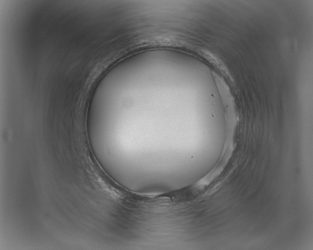 X0000073490481200608281619
