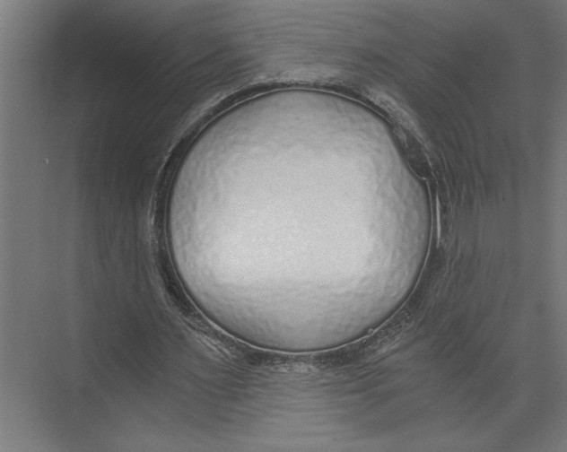 X0000073490483200608281619