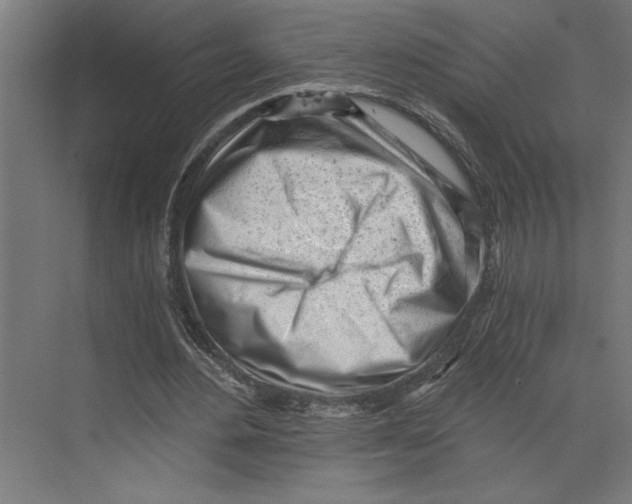 X0000073490484200608281619