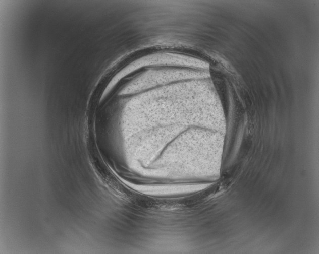 X0000073490488200608281619