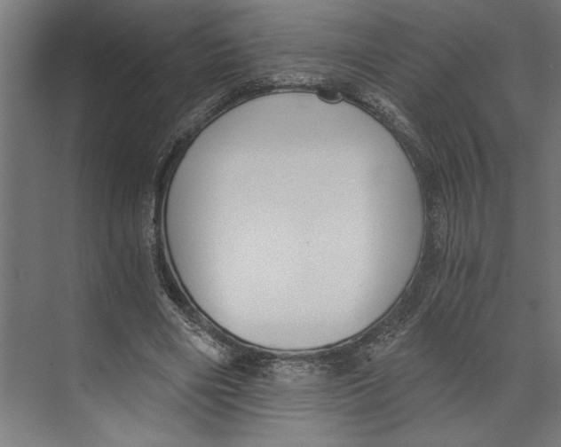 X0000073490490200608281619