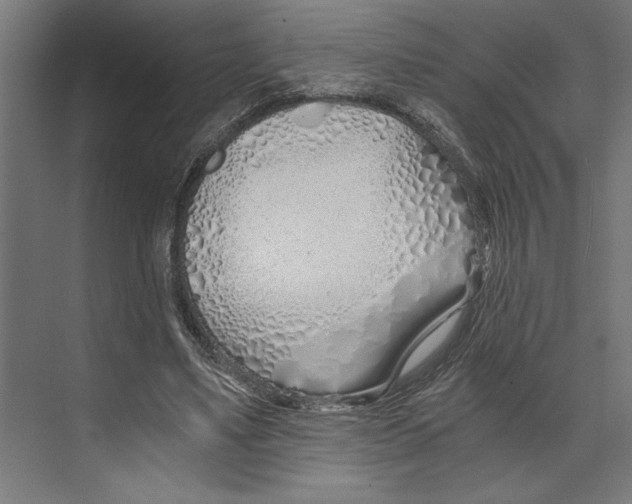 X0000073490491200608281619
