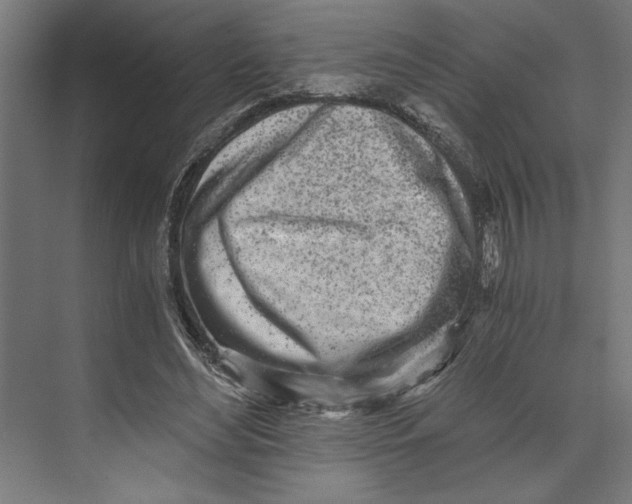 X0000073490492200608281619