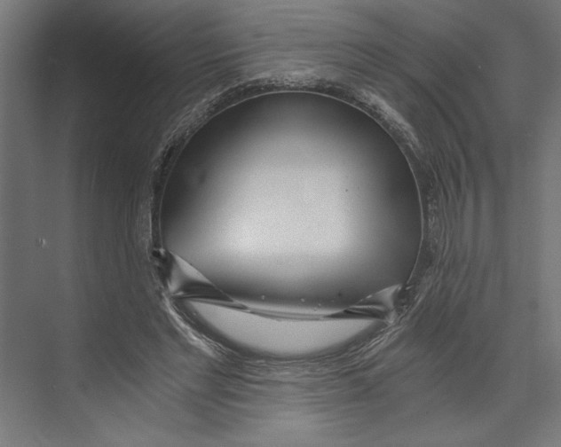 X0000073490493200608281619