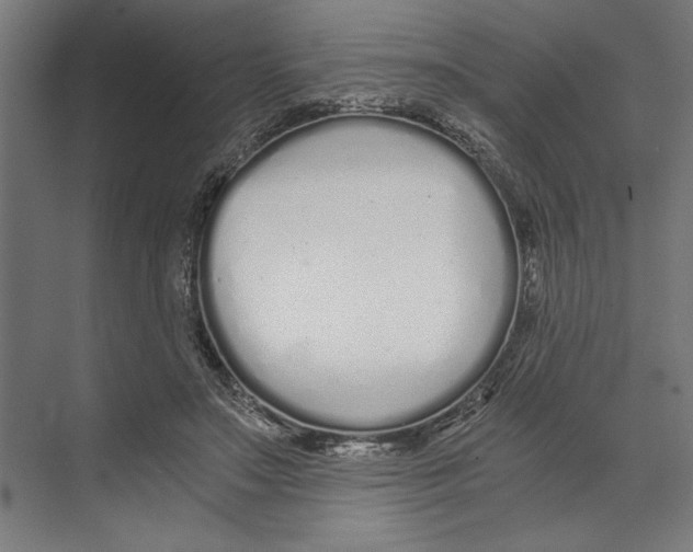 X0000073490499200608281619