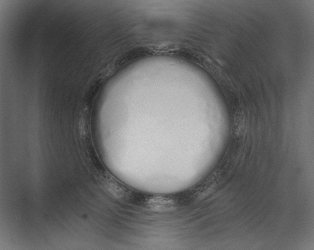 X0000073490515200608281619