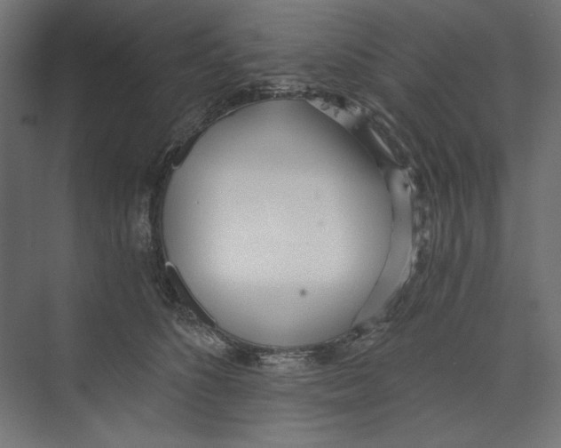X0000073490516200608281619