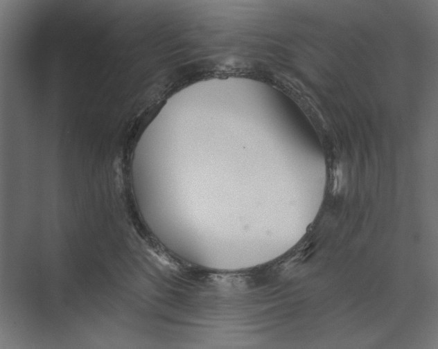 X0000073490520200608281619