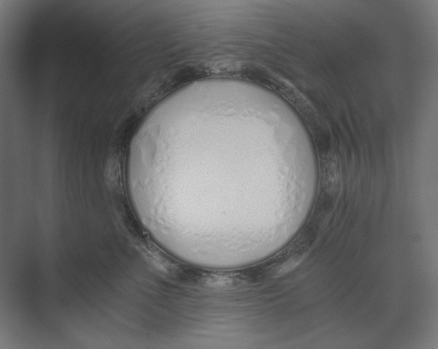 X0000073490523200608281619