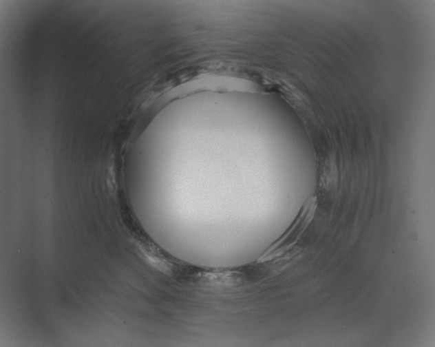 X0000073490524200608281619