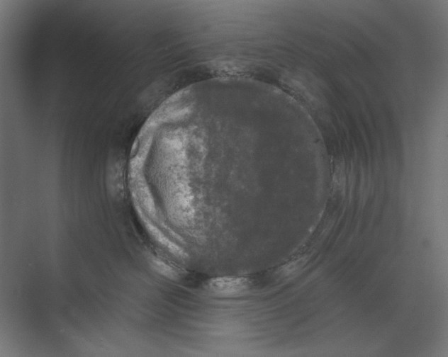 X0000073490526200608281619