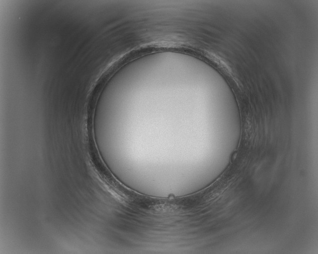 X0000073490535200608281618