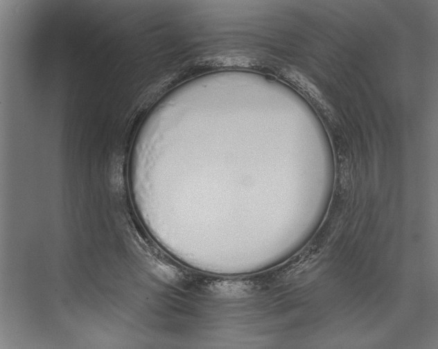 X0000073490537200608281618