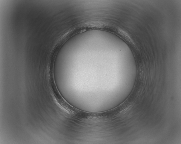 X0000073490538200608281618
