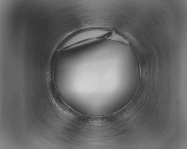 X0000073490540200608281618