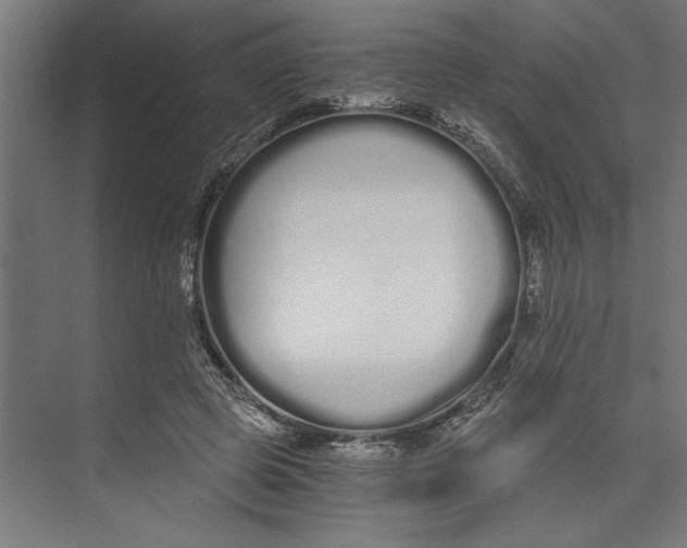 X0000073490545200608281618